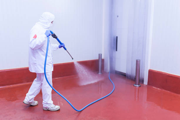 Best Window and Screen Pressure Cleaning in Spry, PA